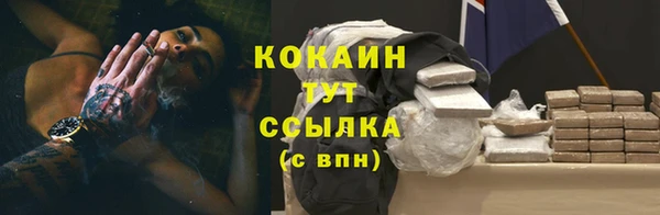 a pvp Каменка