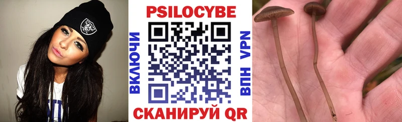 Купить закладки  Жуковка  Галлюциногенные грибы прущие грибы 