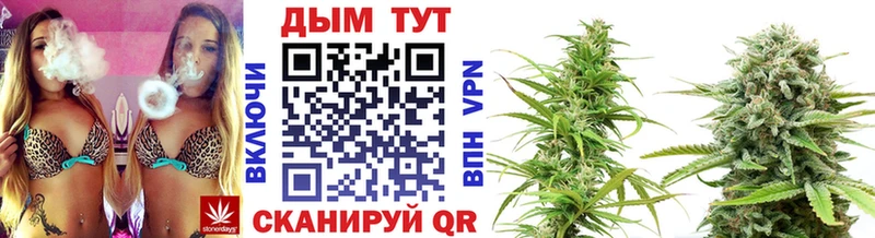 Бошки Шишки White Widow  Купить  Жуковка 